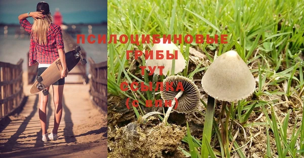 гашик Володарск