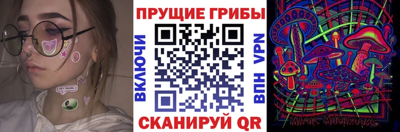 Псилоцибиновые грибы мицелий  Купить закладки  Ярцево 